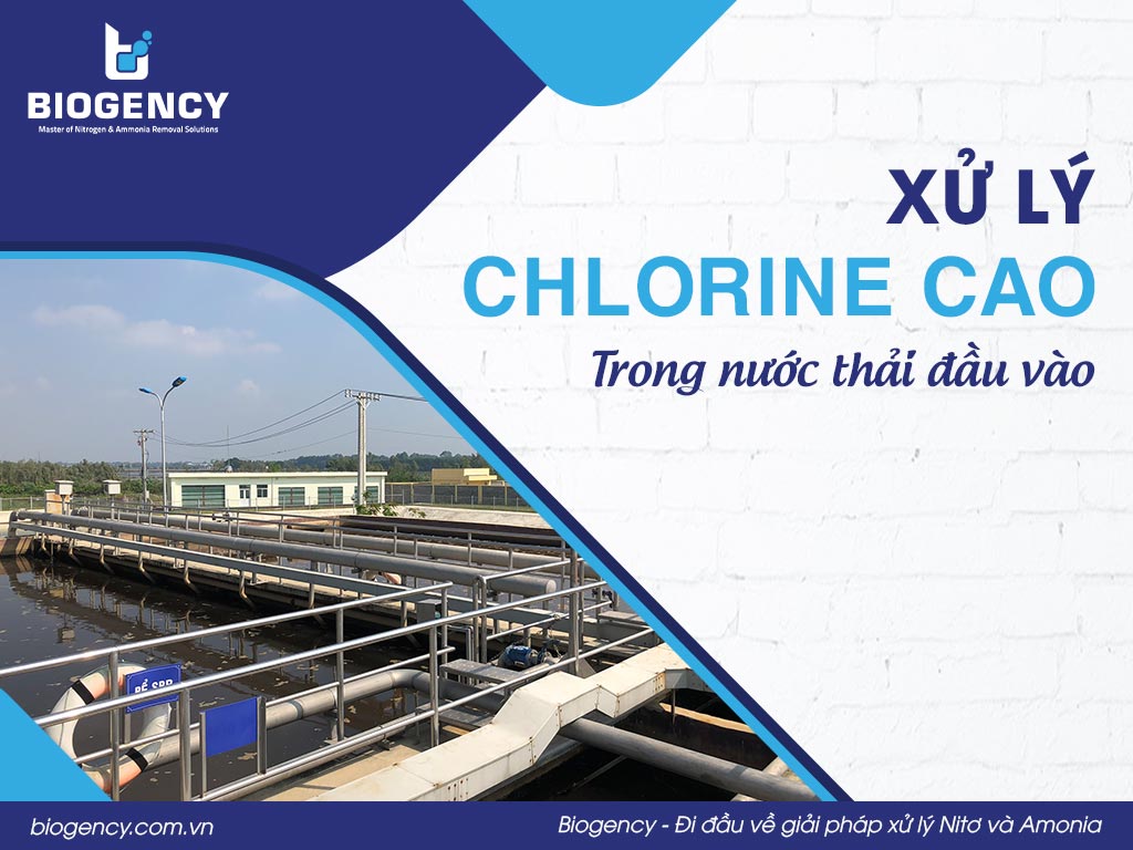 Xử lý Chlorine cao trong nước thải đầu vào