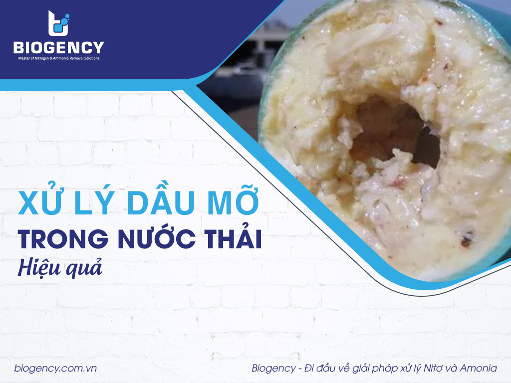 Xử lý dầu mỡ trong nước thải hiệu quả