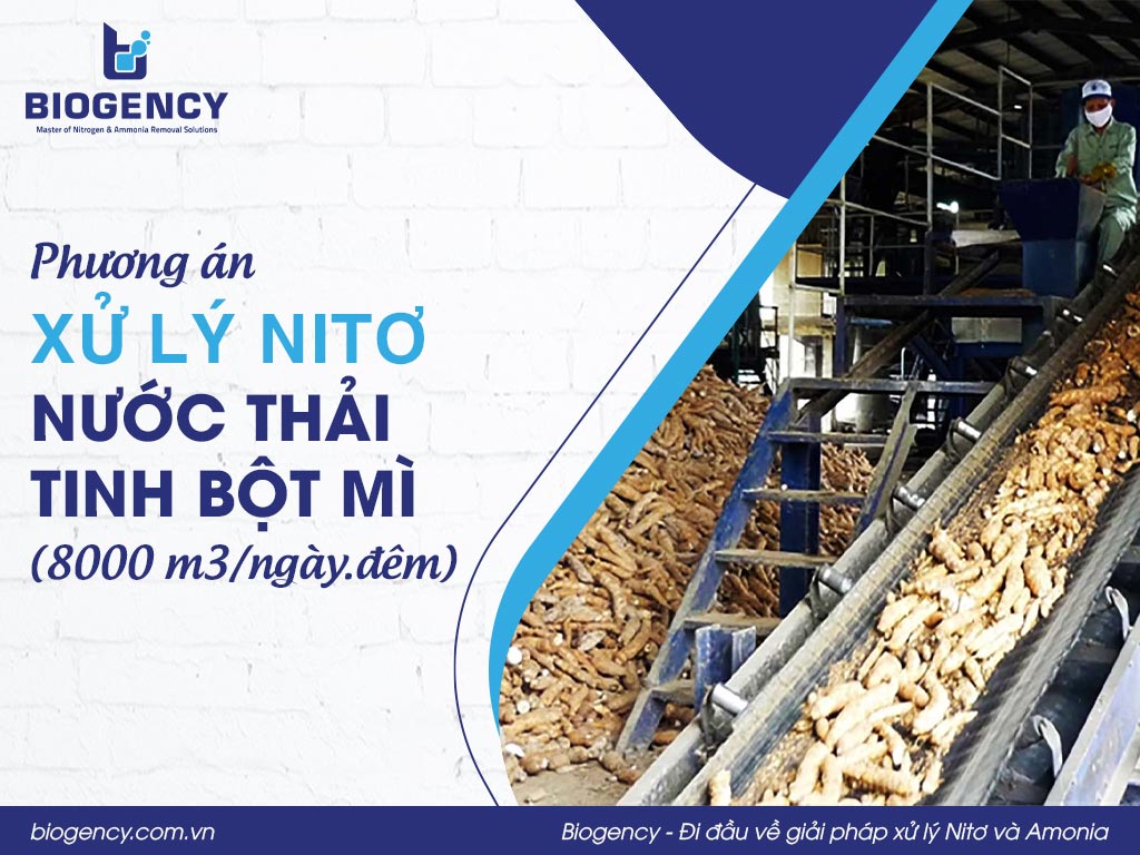Phương án xử lý Nitơ nước thải tinh bột mì (8000 m3/ngày.đêm)