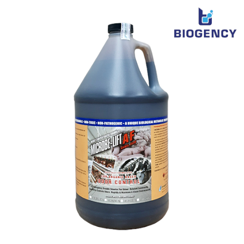 Xử lý mùi hôi khu vực tách phân tại trang trại nuôi heo Bình Định Xử lý mùi hôi khu vực tách phân tại trang trại nuôi heo Bình Định