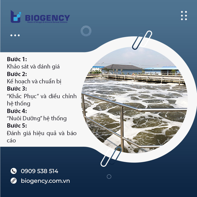 Quy trình thực hiện dịch vụ "Khắc Phục & Nuôi Dưỡng Hệ Thống Xử Lý Nước Thải” của BIOGENCY