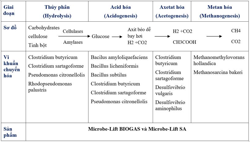 Phương án khởi động hầm Biogas mới với men vi sinh Microbe-Lift