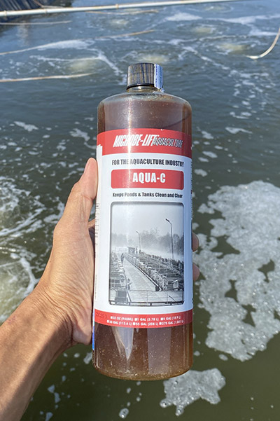 Hiện tượng tôm nhảy lên trên mặt nước, nguyên nhân và cách khắc phục? Hiện tượng tôm nhảy lên trên mặt nước, nguyên nhân và cách khắc phục?