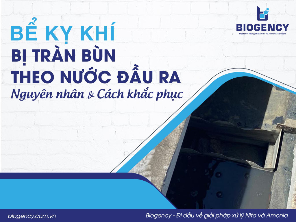 Bể kỵ khí bị tràn bùn theo nước đầu ra: Nguyên nhân và cách khắc phục
