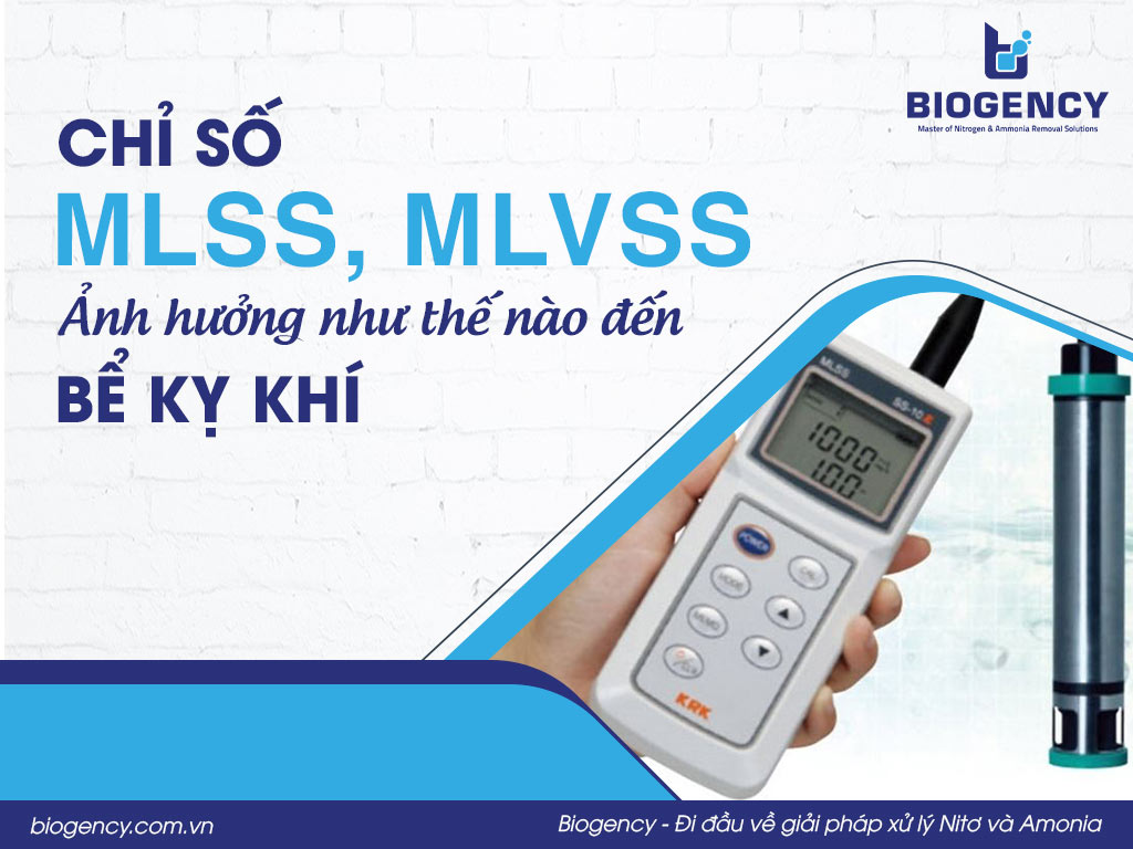 Chỉ số MLSS, MLVSS ảnh hưởng như thế nào đến bể kỵ khí?