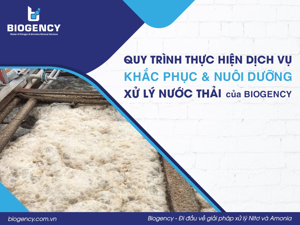 Quy trình thực hiện dịch vụ "Khắc Phục & Nuôi Dưỡng Hệ Thống Xử Lý Nước Thải” của BIOGENCY