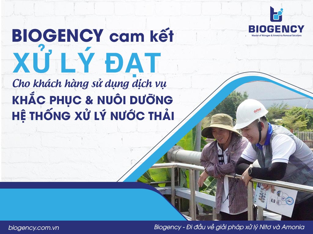 BIOGENCY cam kết "XỬ LÝ ĐẠT" cho khách hàng sử dụng dịch vụ "Khắc Phục & Nuôi Dưỡng Hệ Thống Xử Lý Nước Thải”
