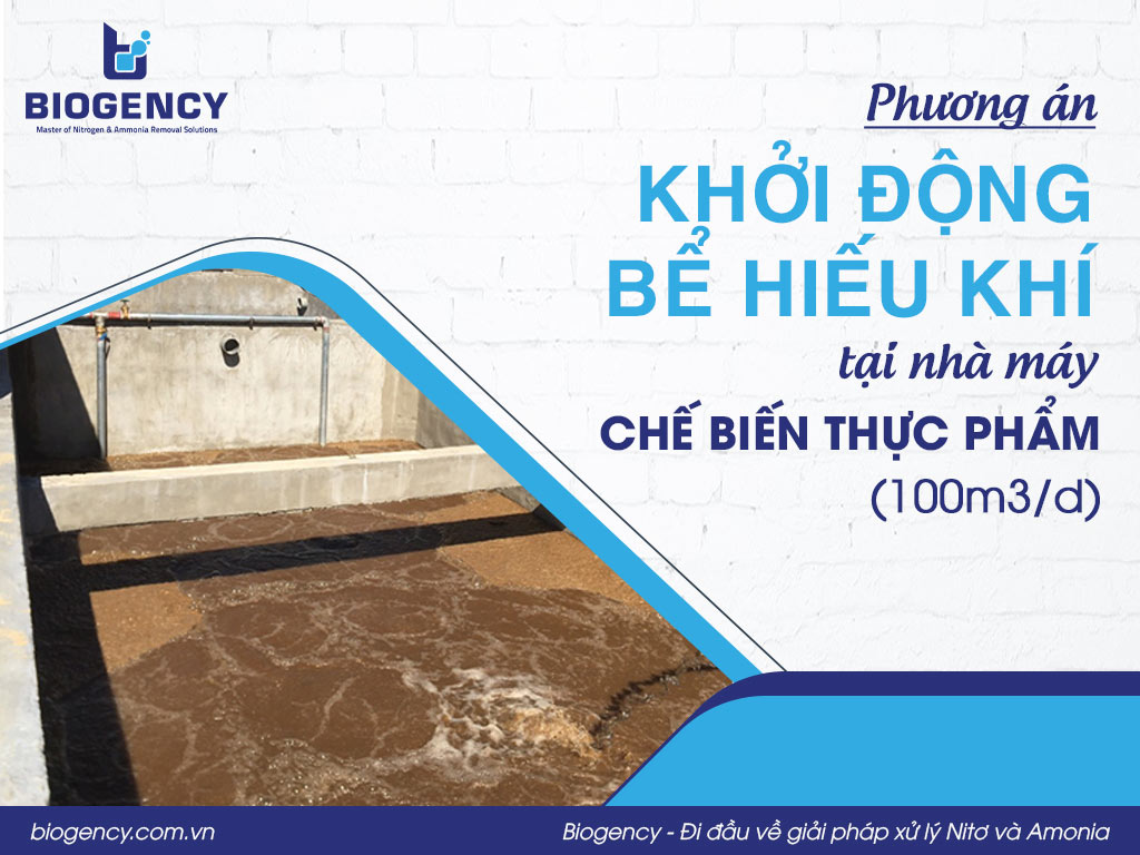 Phương án khởi động bể hiếu khí tại nhà máy chế biến thực phẩm (100m3/d)
