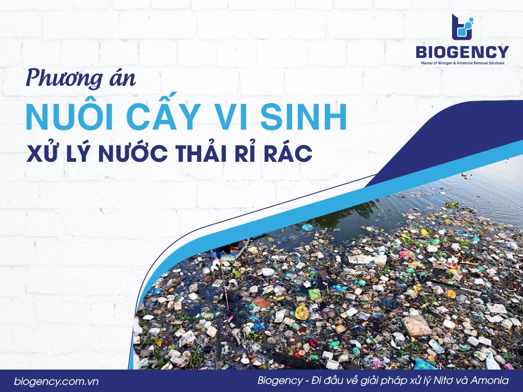 Phương án nuôi cấy vi sinh xử lý nước thải rỉ rác