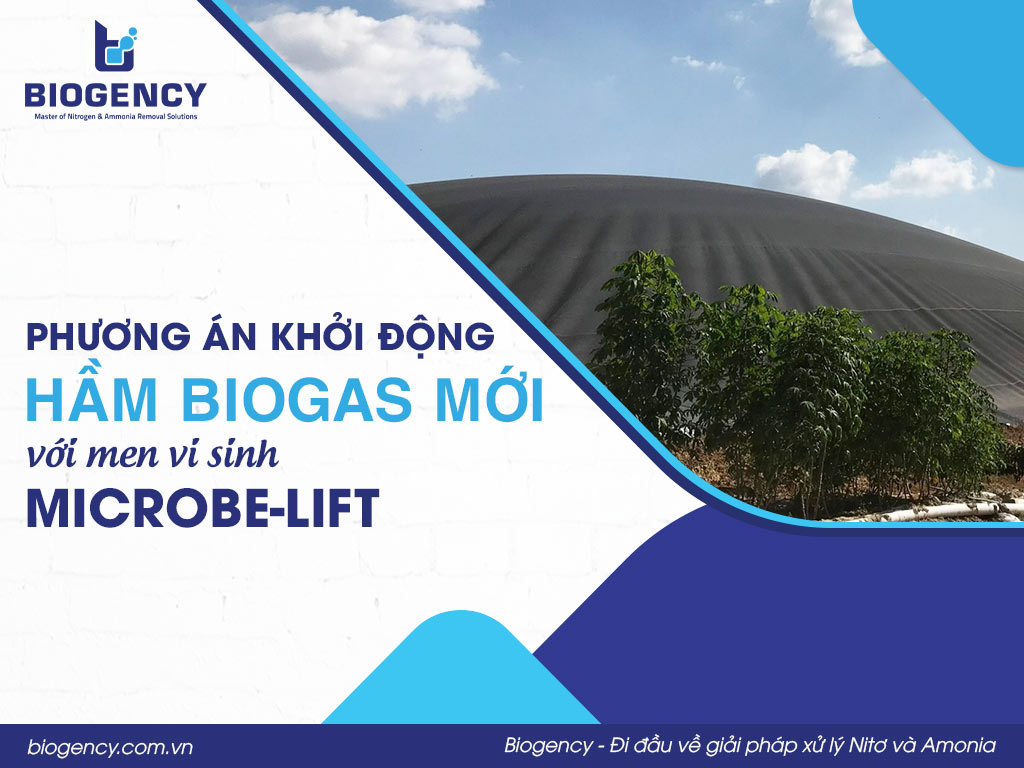Phương án khởi động hầm Biogas mới với men vi sinh Microbe-Lift
