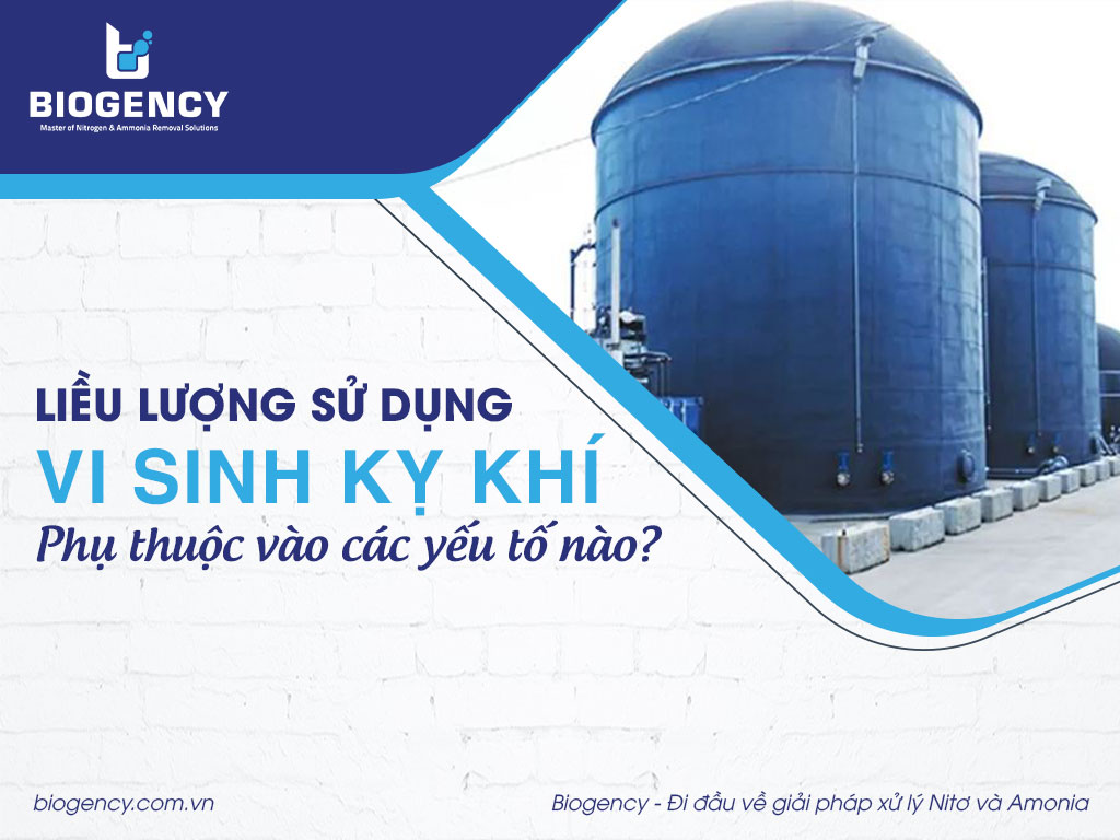 Liều lượng sử dụng vi sinh kỵ khí phụ thuộc vào các yếu tố nào?