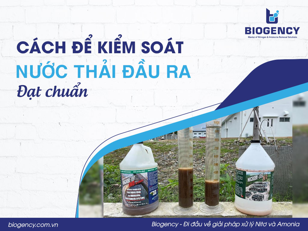Cách để kiểm soát nước thải đầu ra đạt chuẩn?
