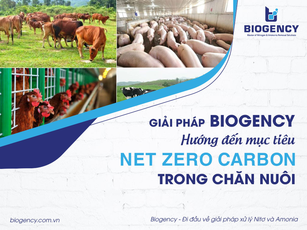 Giải pháp BIOGENCY hướng đến mục tiêu Net Zero Carbon trong chăn nuôi