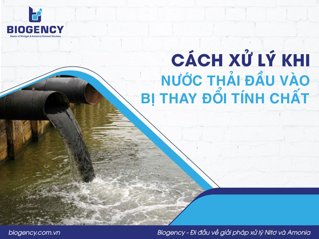 Cách xử lý khi nước thải đầu vào bị thay đổi tính chất