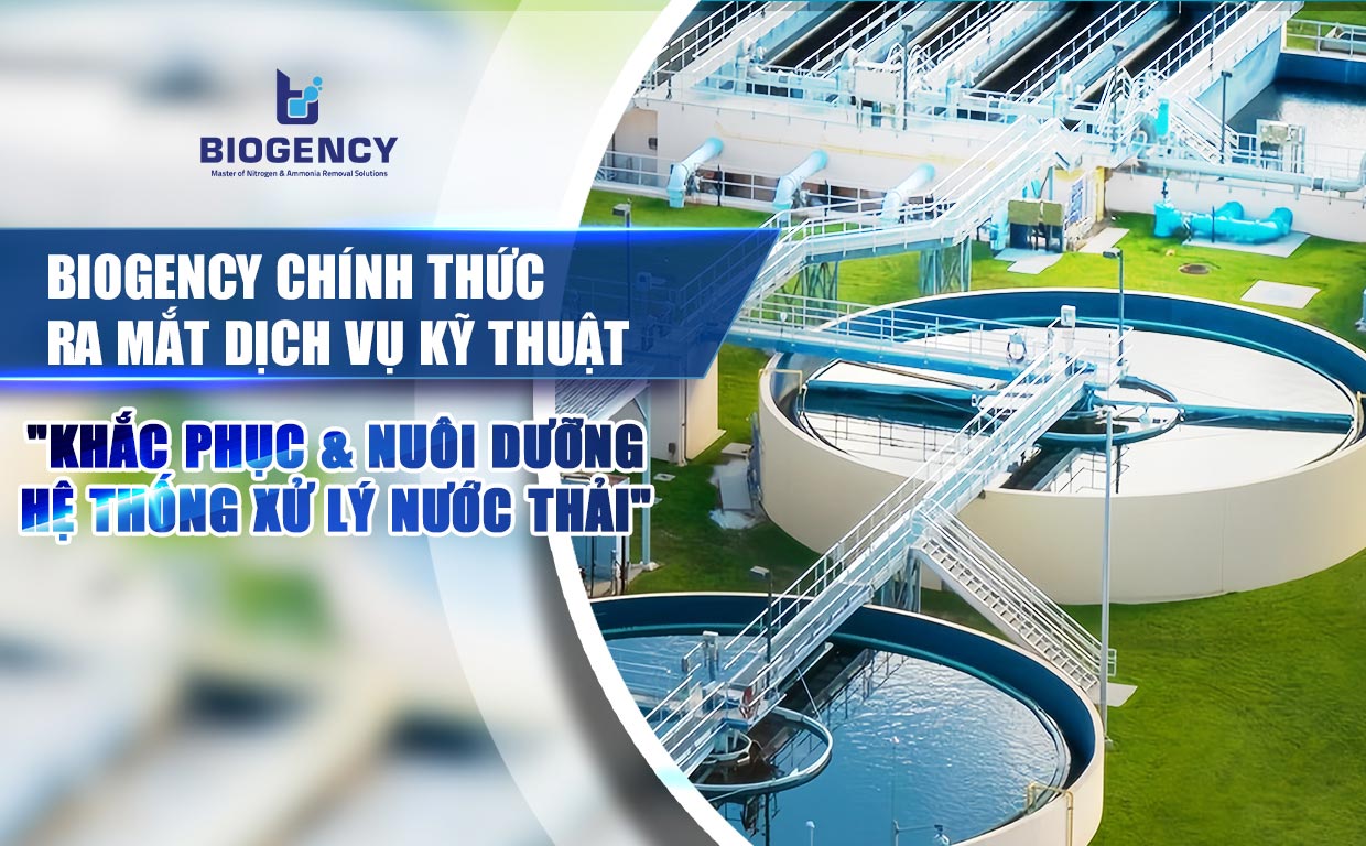 BIOGENCY chính thức ra mắt Dịch vụ Kỹ thuật "Khắc Phục & Nuôi Dưỡng Hệ Thống Xử Lý Nước Thải"