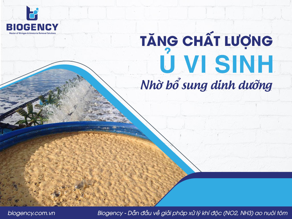 Tăng chất lượng ủ vi sinh nhờ bổ sung dinh dưỡng