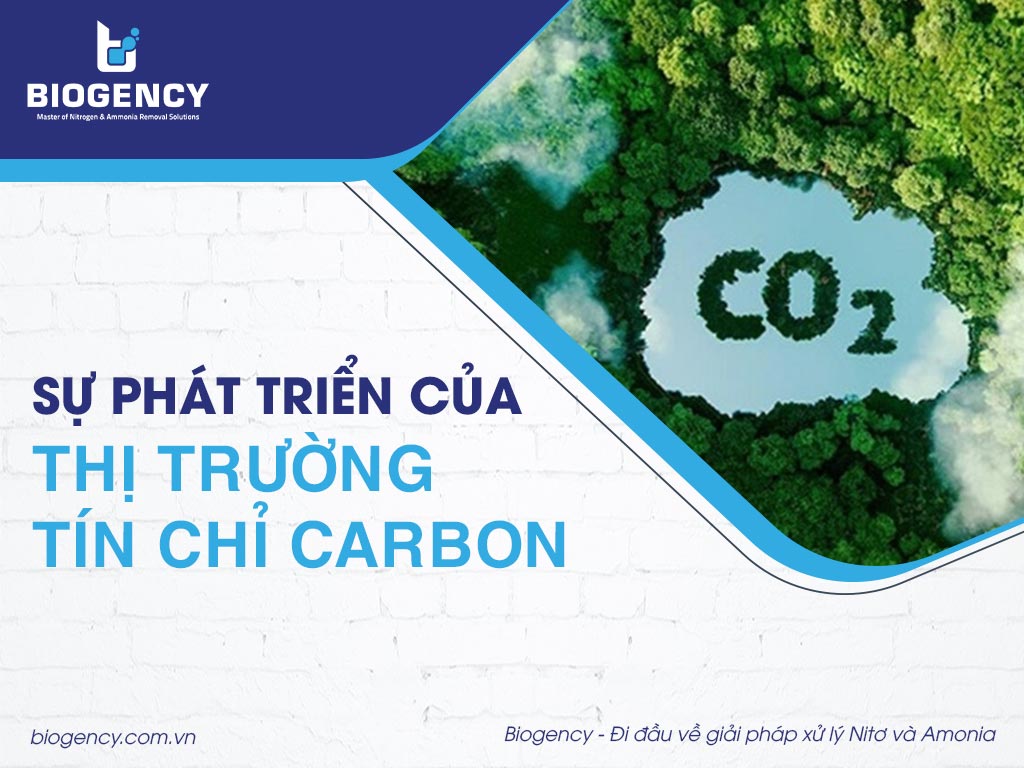 Sự phát triển của thị trường tín chỉ Carbon