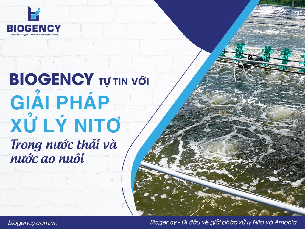 BIOGENCY tự tin với giải pháp xử lý Nitơ trong nước thải và nước ao nuôi
