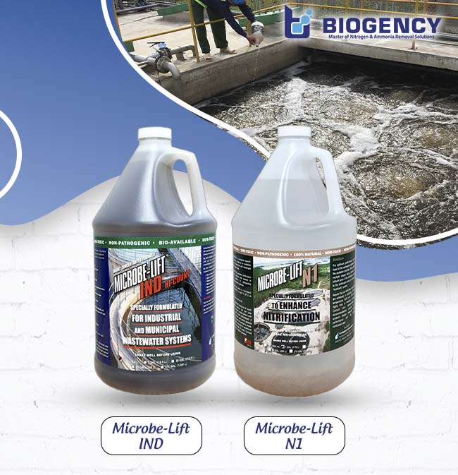 Sản phẩm Microbe-Lift giúp xử lý chỉ tiêu Amoni và Nitơ trong nước thải tinh bột sắn. Sản phẩm Microbe-Lift giúp xử lý chỉ tiêu Amoni và Nitơ trong nước thải tinh bột sắn.
