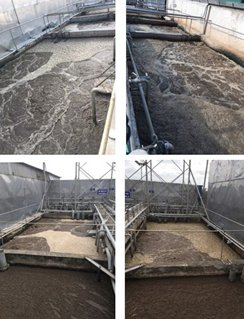 Dự án duy trì & ổn định hiệu suất HTXLNT chế biến thủy sản Hải Nam (1200m3/ngày.đêm) - Dịch vụ kỹ thuật BIOGENCY