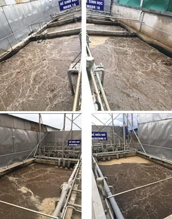 Dự án duy trì & ổn định hiệu suất HTXLNT chế biến thủy sản Hải Nam (1200m3/ngày.đêm) - Dịch vụ kỹ thuật BIOGENCY