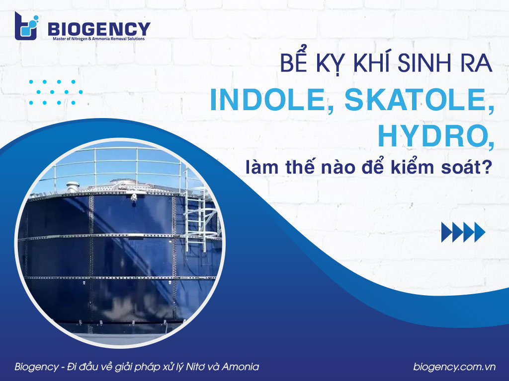 Bể kỵ khí sinh ra indole, skatole, hydro, làm thế nào để kiểm soát?
