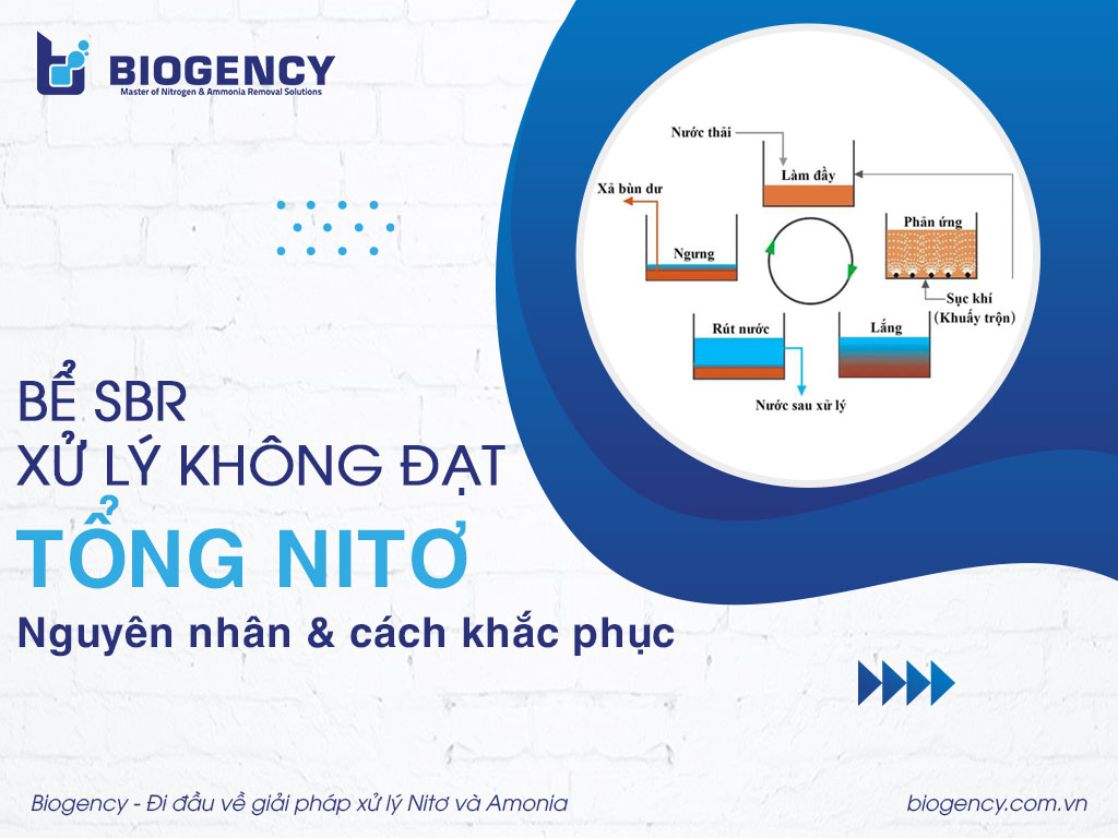 Bể SBR xử lý không đạt tổng Nitơ: Nguyên nhân và cách khắc phục