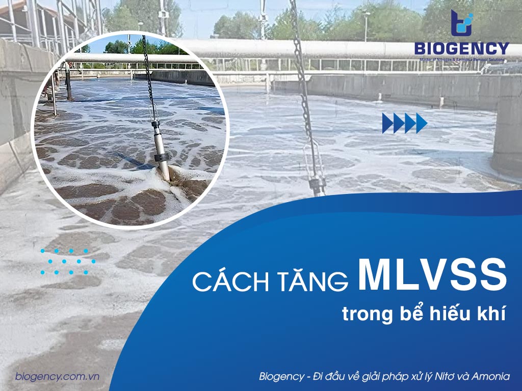 Cách tăng MLVSS trong bể hiếu khí