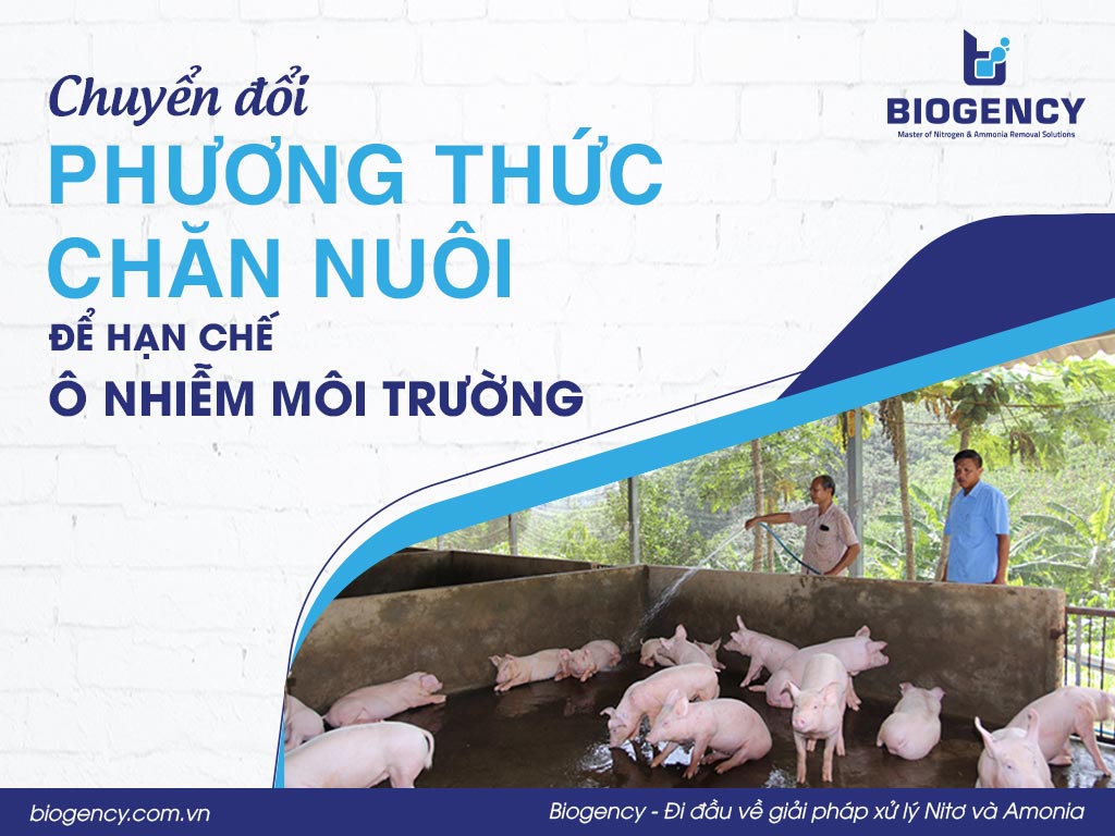 Chuyển đổi phương thức chăn nuôi để hạn chế ô nhiễm môi trường
