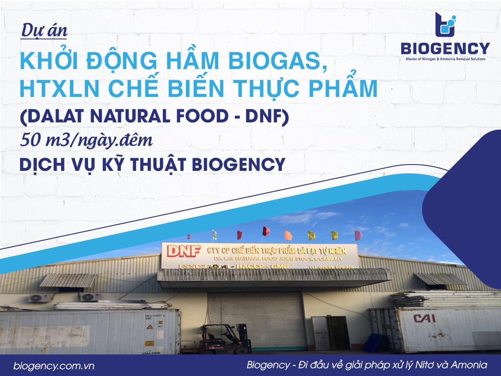 Dự án duy trì & ổn định hiệu suất HTXLNT chế biến thủy sản Hải Nam (1200m3/ngày.đêm) - Dịch vụ kỹ thuật BIOGENCY