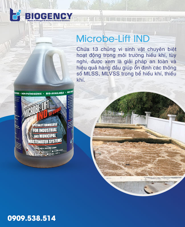 Cách tăng MLVSS trong bể hiếu khí Cách tăng MLVSS trong bể hiếu khí