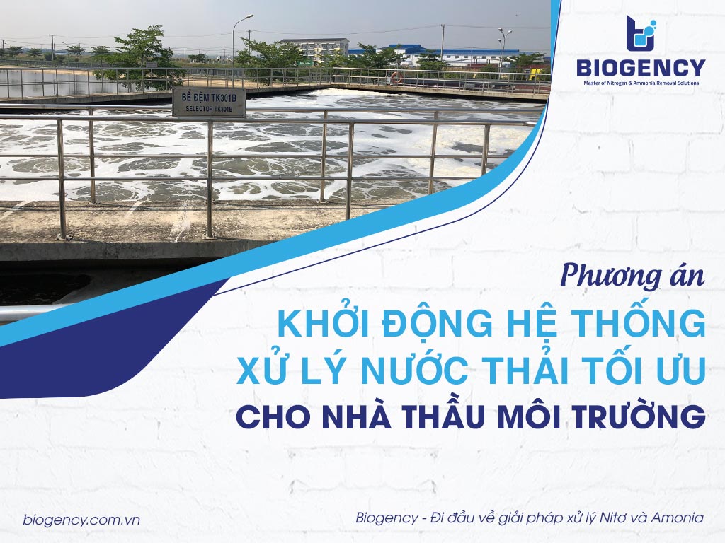 Phương án khởi động hệ thống xử lý nước thải tối ưu cho nhà thầu môi trường