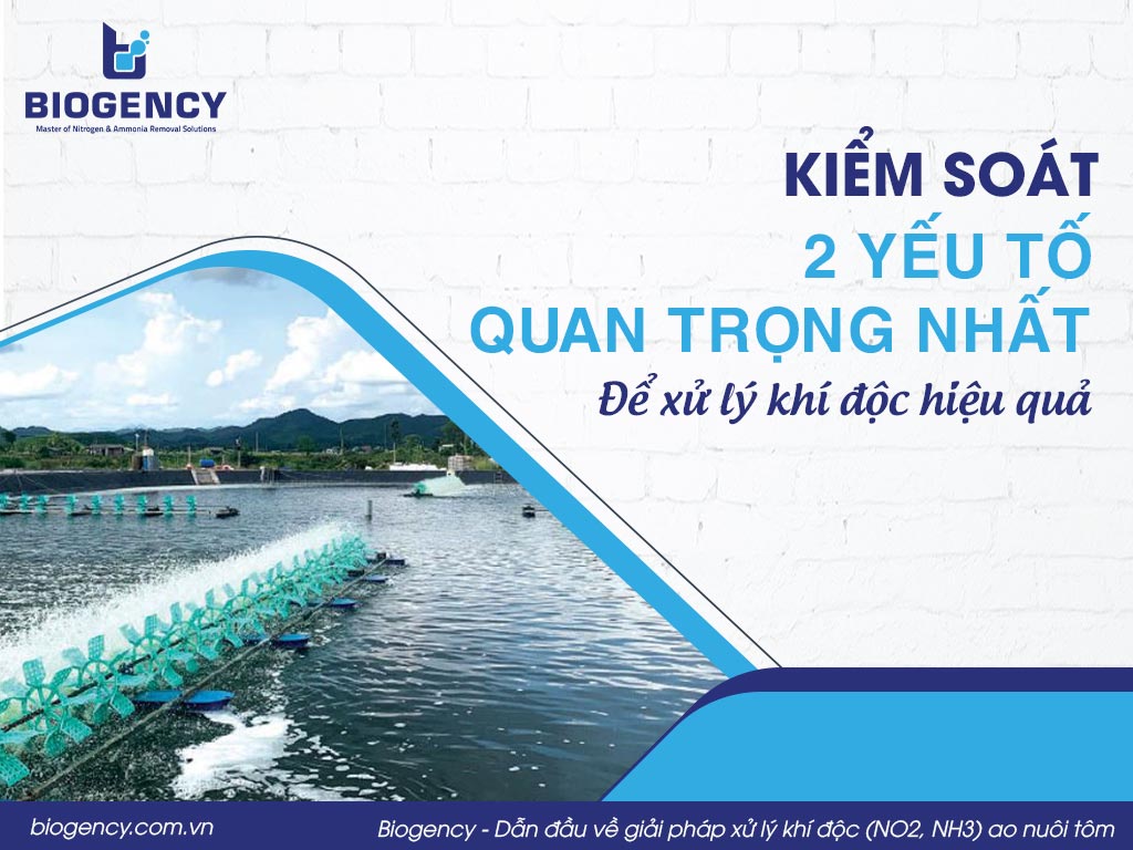 Kiểm soát 2 yếu tố quan trọng nhất để xử lý khí độc hiệu quả