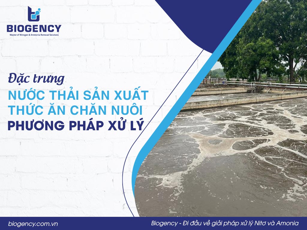Đặc trưng nước thải sản xuất thức ăn chăn nuôi và phương pháp xử lý