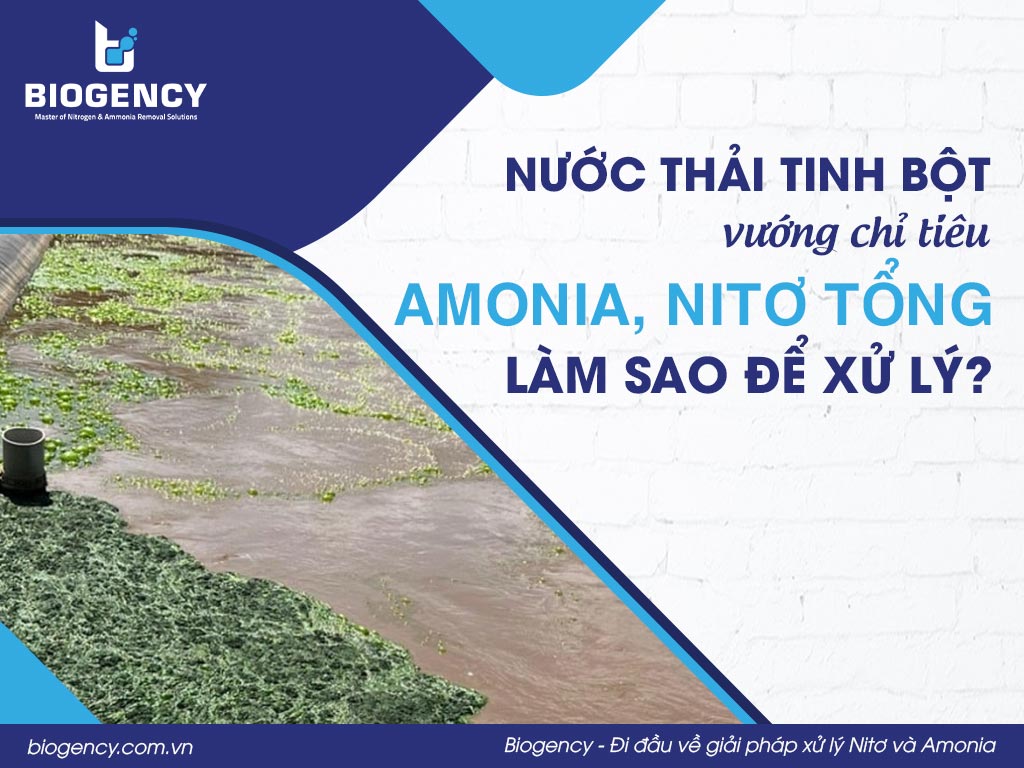 Nước thải tinh bột vướng chỉ tiêu Amonia, Nitơ tổng, làm sao để xử lý?