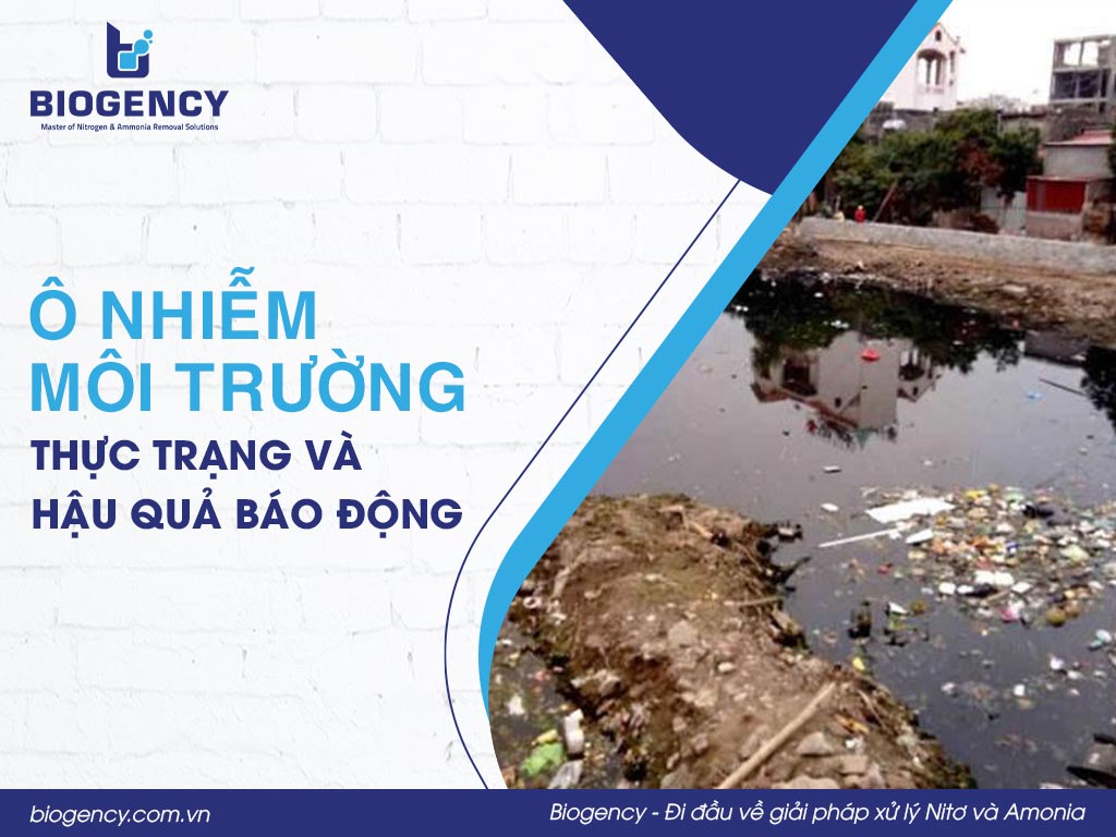 Ô nhiễm môi trường: Thực trạng và hậu quả báo động