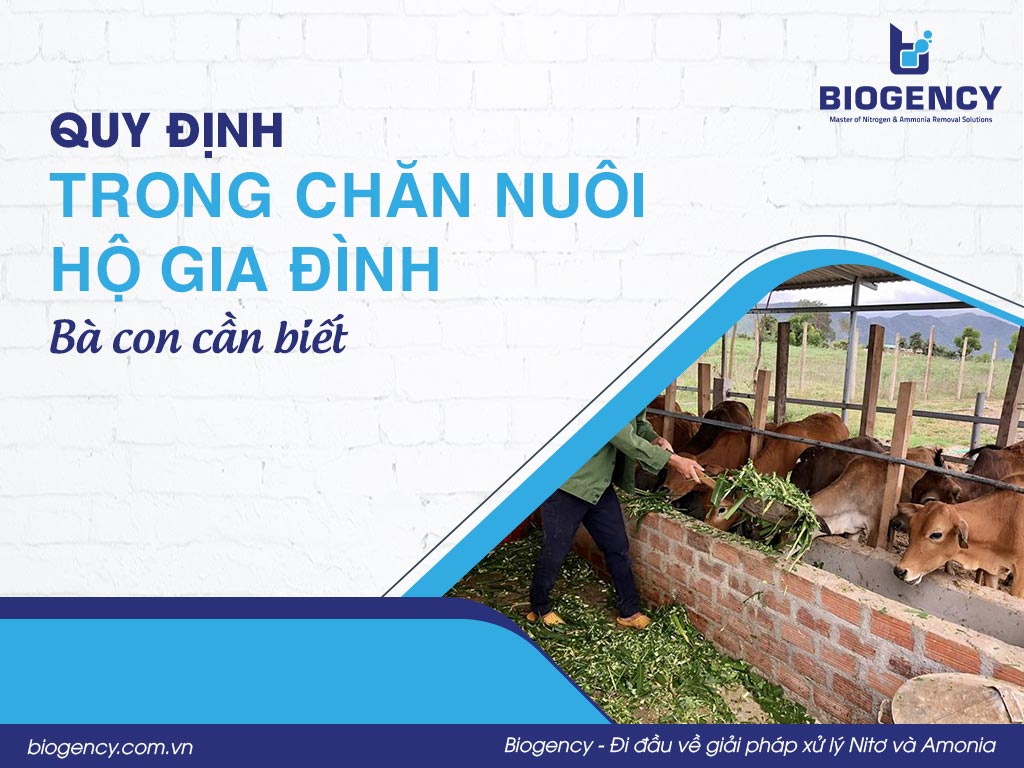Quy định trong chăn nuôi hộ gia đình bà con cần biết
