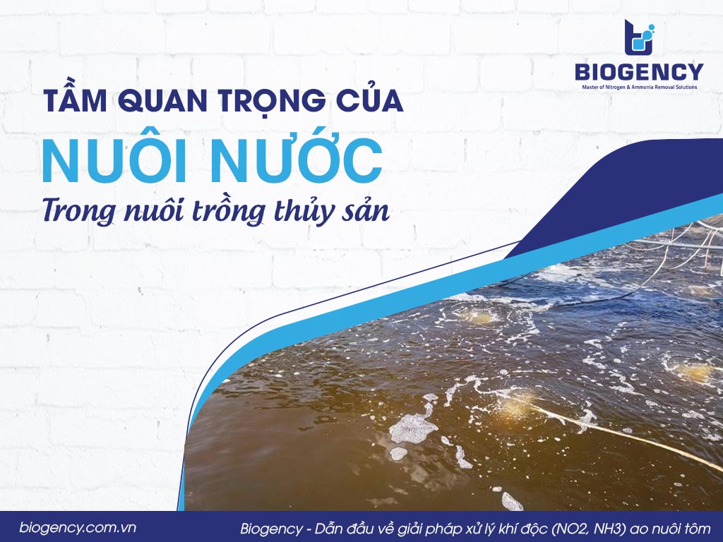 Tầm quan trọng của "nuôi nước" trong nuôi trồng thủy sản