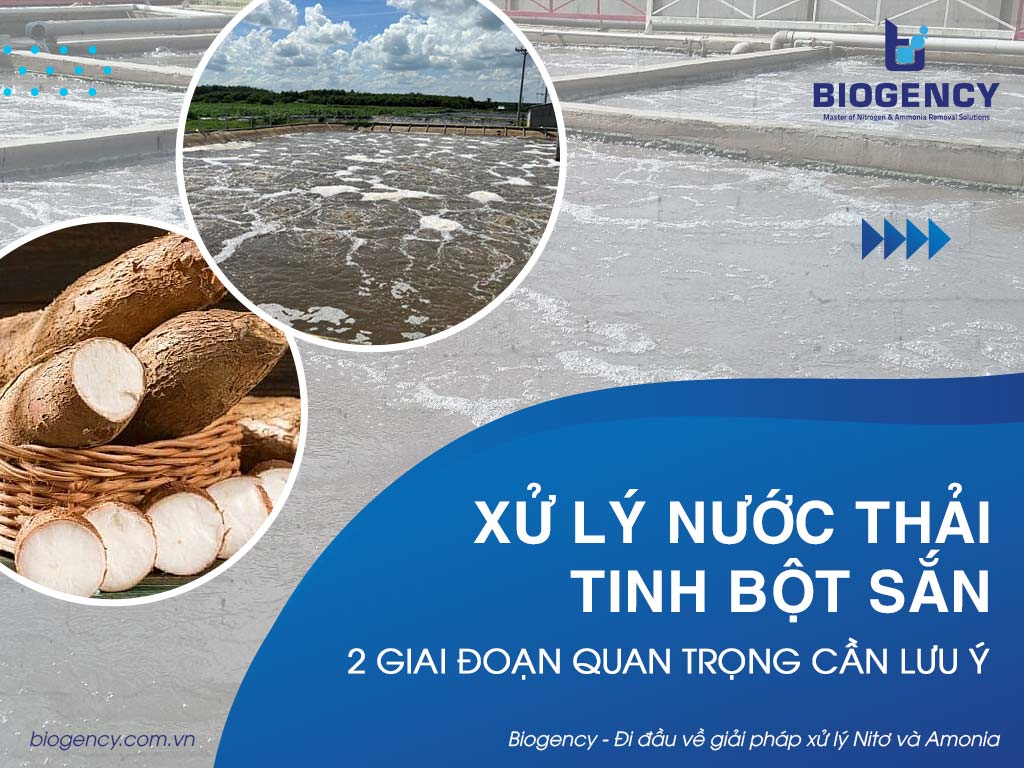 Xử lý nước thải tinh bột sắn: 2 giai đoạn quan trọng cần lưu ý