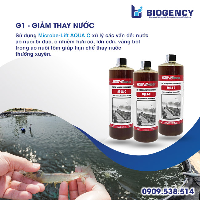 [BIOGENCY] Giải pháp 5G: Tôm khỏe, phát triển mạnh & năng suất cao