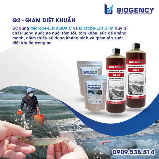 [BIOGENCY] Giải pháp 5G: Tôm khỏe, phát triển mạnh & năng suất cao