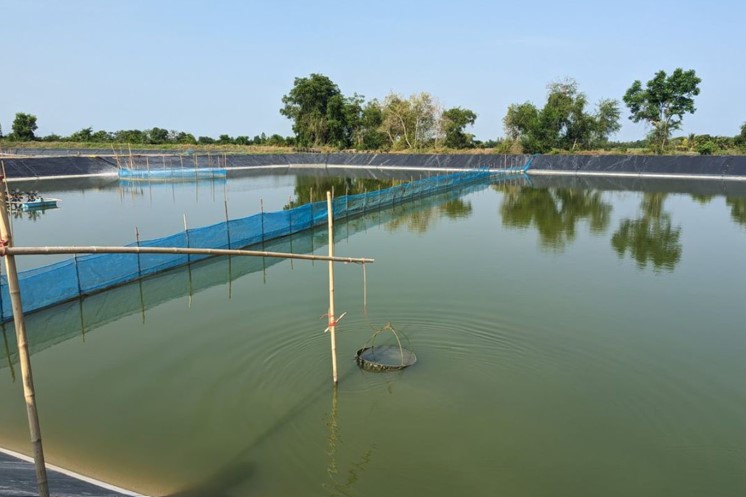Cách dùng đĩa Secchi đo độ đục/trong nước nuôi tôm Cách dùng đĩa Secchi đo độ đục/trong nước nuôi tôm
