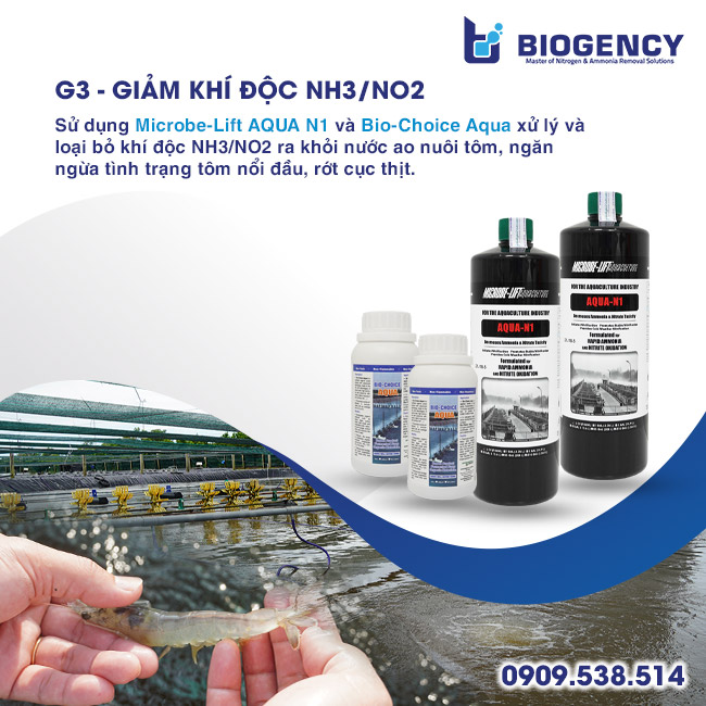[BIOGENCY] Giải pháp 5G: Tôm khỏe, phát triển mạnh & năng suất cao
