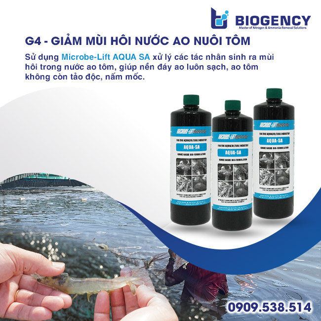 [BIOGENCY] Giải pháp 5G: Tôm khỏe, phát triển mạnh & năng suất cao