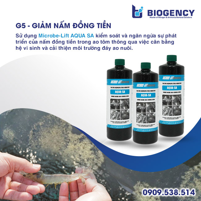 [BIOGENCY] Giải pháp 5G: Tôm khỏe, phát triển mạnh & năng suất cao