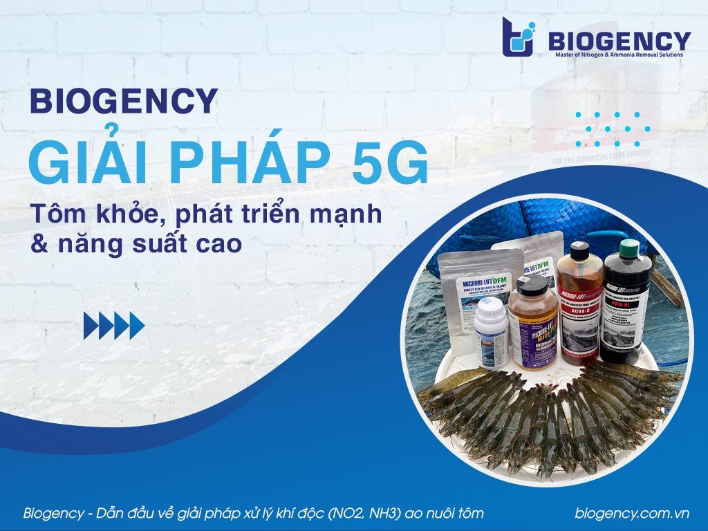 [BIOGENCY] Giải pháp 5G: Tôm khỏe, phát triển mạnh & năng suất cao