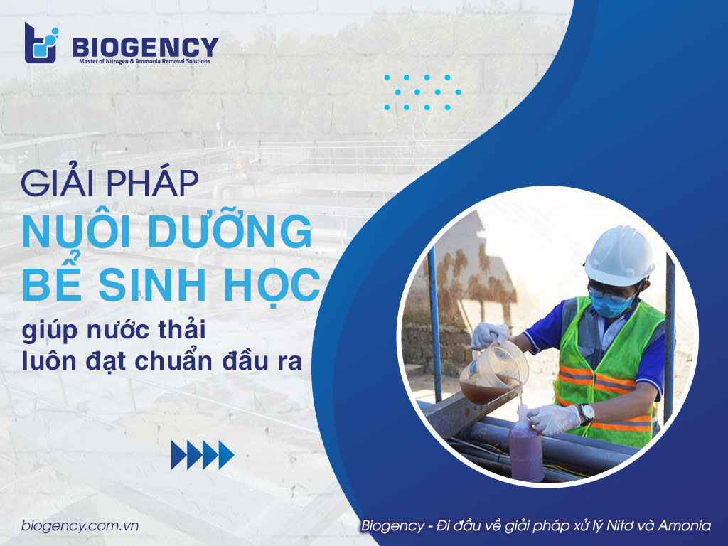 Giải pháp nuôi dưỡng bể sinh học giúp nước thải luôn đạt chuẩn đầu ra