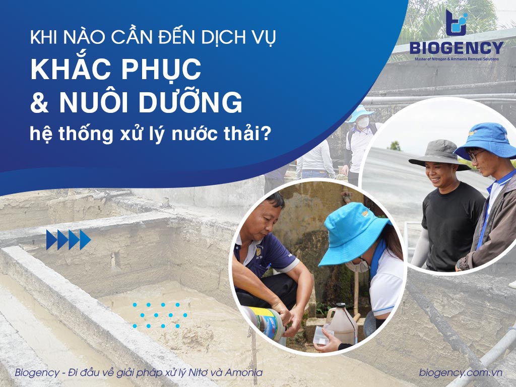 Khi nào cần đến dịch vụ khắc phục & nuôi dưỡng hệ thống xử lý nước thải?