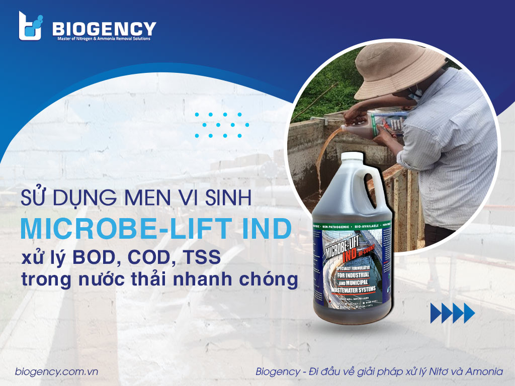 Sử dụng men vi sinh Microbe-Lift IND để xử lý BOD, COD, TSS trong nước thải nhanh chóng