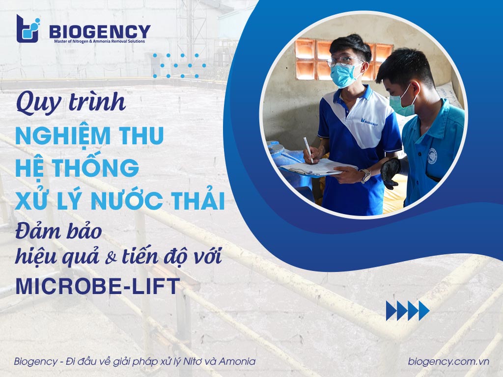 Quy trình nghiệm thu hệ thống xử lý nước thải: Đảm bảo hiệu quả và tiến độ với Microbe-Lift